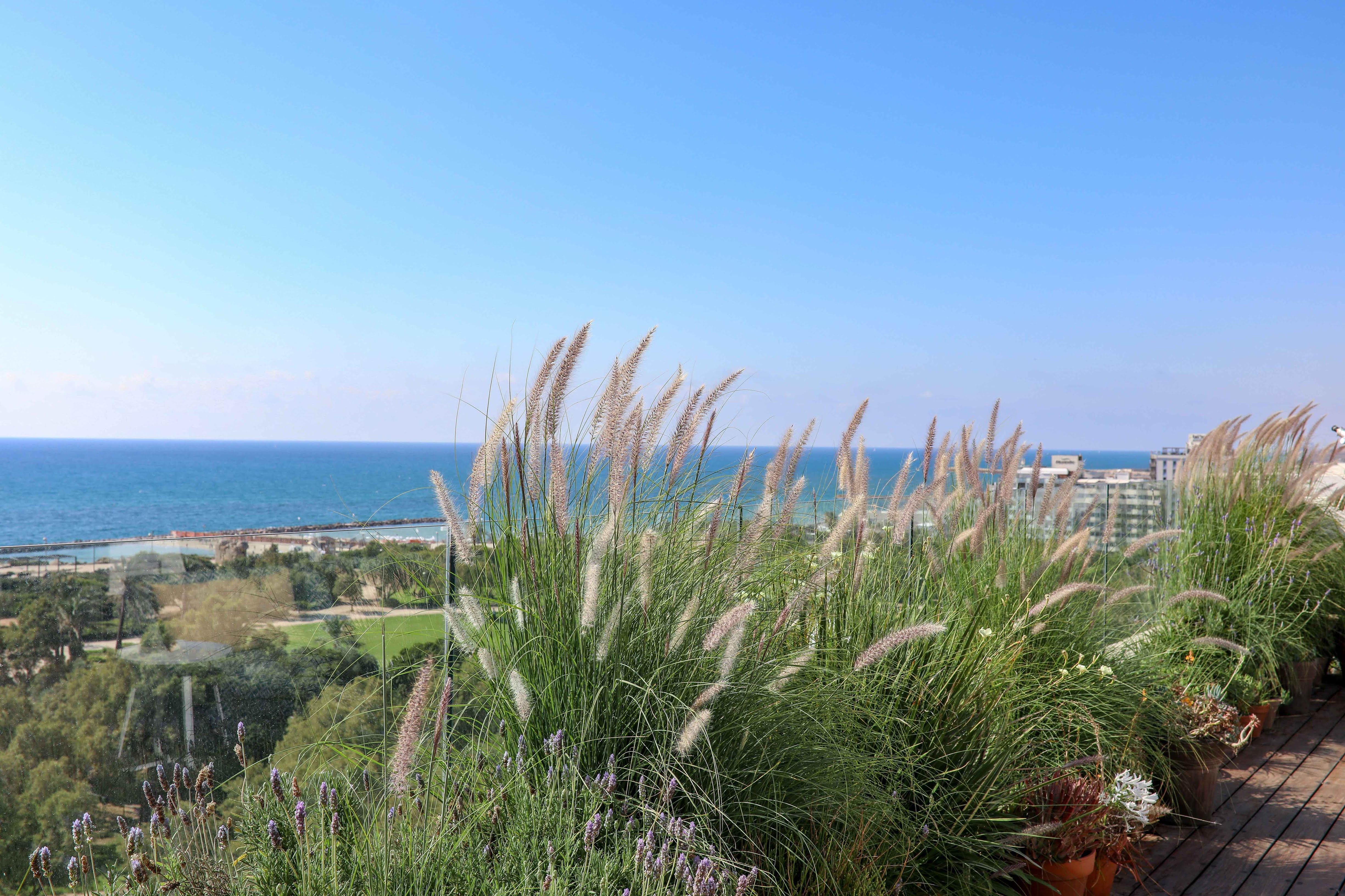 Melody Hotel - An Atlas Boutique Hotel Tel Aviv Eksteriør bilde